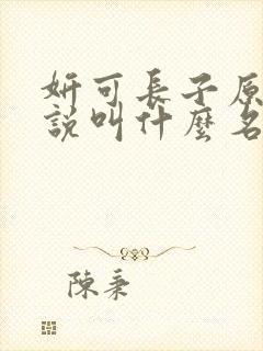 妍可长子原著小说叫什么名字