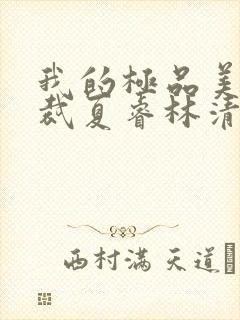 我的极品美女总裁夏睿林清雅全本小说阅读