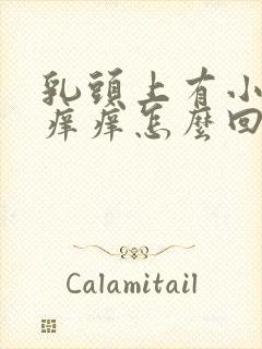 乳头上有小疙瘩痒痒怎么回事