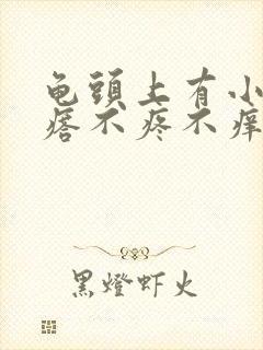 龟头上有小红疙瘩不疼不痒的