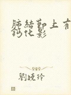 肺结节上有点状钙化影