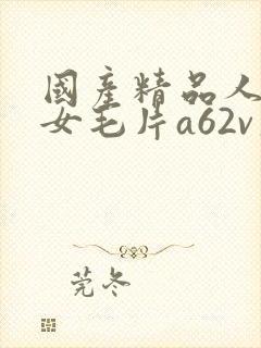 国产精品人妻熟女毛片a62v久久封面