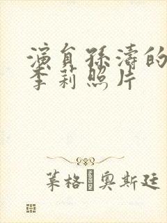 演员孙涛的妻子李莉照片