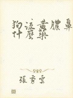 狗流黄脓鼻涕吃什么药