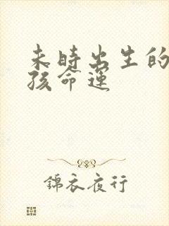 未时出生的鼠男孩命运