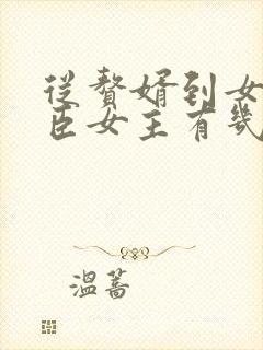 从赘婿到女帝宠臣女主有几个