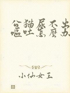 公猫尿不出来还呕吐怎么办