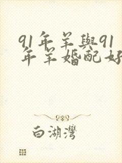 91年羊与91年羊婚配好吗