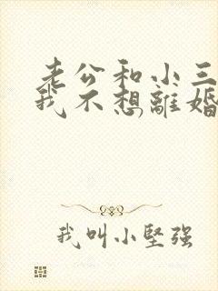 老公和小三怀孕我不想离婚该怎么办