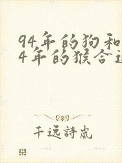 94年的狗和04年的猴合适吗封面