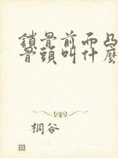 锁骨前面凸起的骨头叫什么