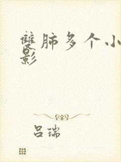 双肺多个小结节影