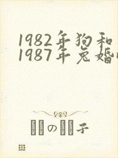1982年狗和1987年兔婚配