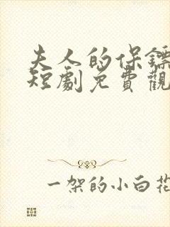 夫人的保镖又抢短剧免费观看高清版