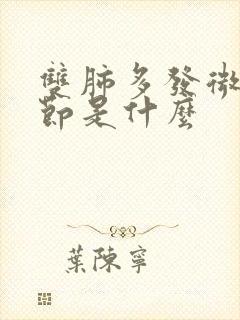 双肺多发微小结节是什么