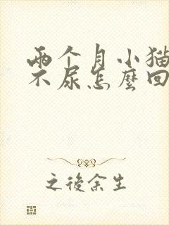 两个月小猫不拉不尿怎么回事