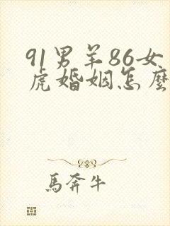 91男羊86女虎婚姻怎么样封面