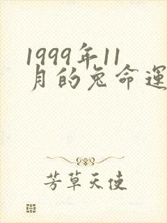 1999年11月的兔命运如何