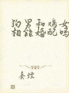 狗男和鸡女的属相能婚配吗