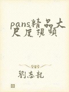 pans精品大尺度视频