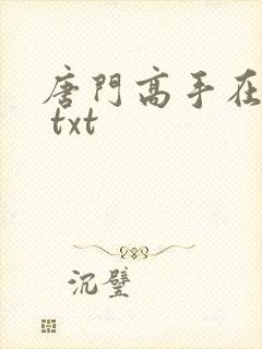 唐门高手在异世 txt