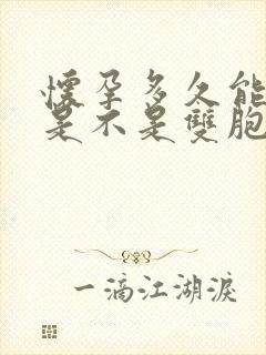 怀孕多久能知道是不是双胞胎