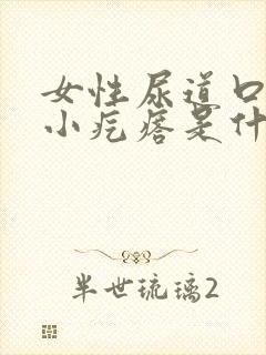 女性尿道口有个小疙瘩是什么引起的封面