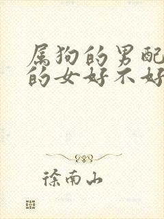 属狗的男配属兔的女好不好