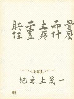 肚子上面骨头的位置疼什么原因封面