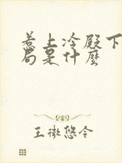 惹上冷殿下大结局是什么