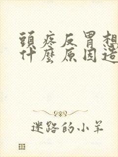 头疼反胃想吐是什么原因造成的