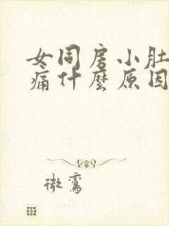 女同房小肚子疼痛什么原因引起的