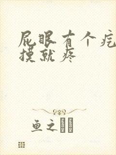 屁眼有个疙瘩一摸就疼