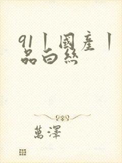 91丨国产丨精品白丝