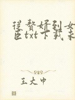 从赘婿到女帝宠臣txt下载未删减