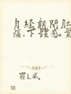 月经期间肚子胀痛,下体感觉下坠