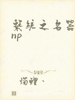 系统之名器攻略np