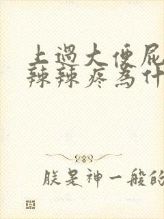 上过大便屁眼火辣辣疼为什么封面