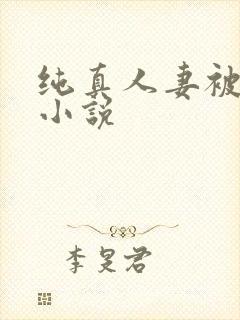 纯真人妻被哄骗小说封面