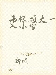 两根硕大一起挤入小雪