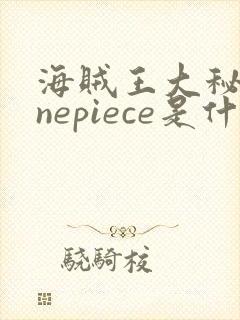 海贼王大秘宝onepiece是什么封面