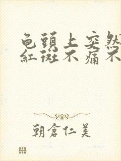 龟头上突然出现红斑不痛不痒封面