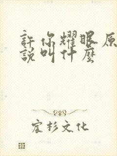 许你耀眼原著小说叫什么封面