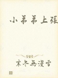 小弟弟上张豆豆封面