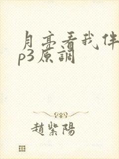 月亮看我伴奏mp3原调封面