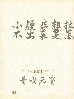 小腹疼想拉屎拉不出来是怎么回事