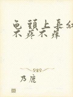 龟 头上长红点不疼不痒封面