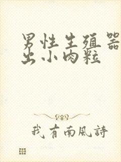 男性生殖器上长出小肉粒封面