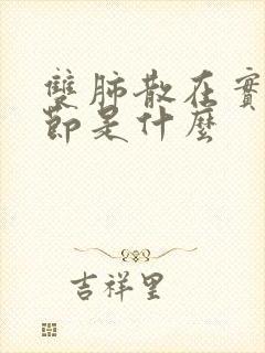 双肺散在实性结节是什么