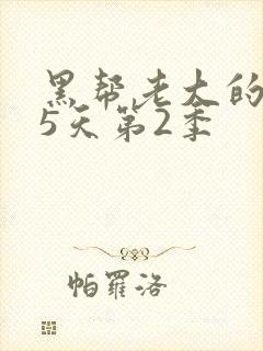 黑帮老大的365天第2季